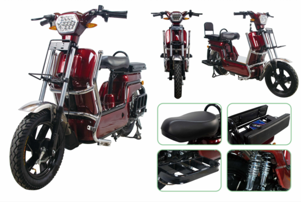 LDH-S800 Cargo Electric Motorcycle - Image 2